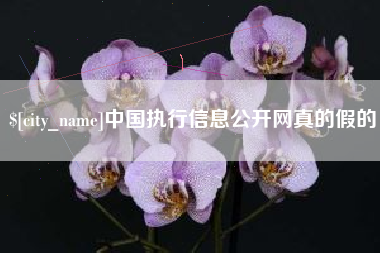 肥城中国执行信息公开网真的假的