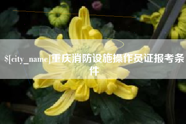 肥城重庆消防设施操作员证报考条件