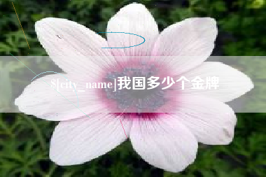 肥城我国多少个金牌