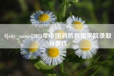 肥城2021年中国消防救援学院录取分数线