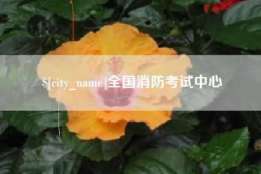 肥城全国消防考试中心