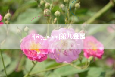 肥城第九金是