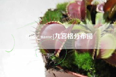 肥城九宫格分布图