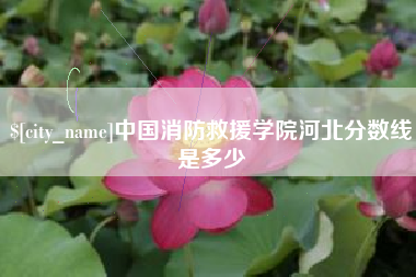 肥城中国消防救援学院河北分数线是多少