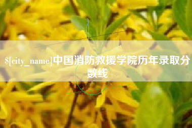 肥城中国消防救援学院历年录取分数线