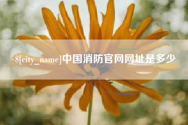 肥城中国消防官网网址是多少