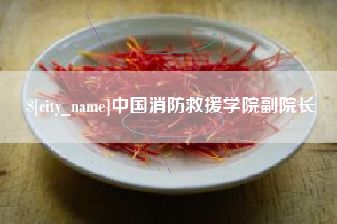 肥城中国消防救援学院副院长