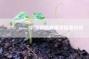 肥城中国消防救援学院录分线