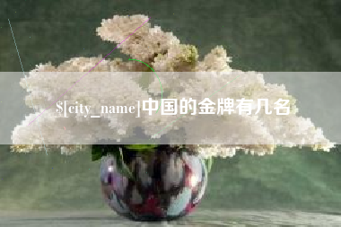 肥城中国的金牌有几名
