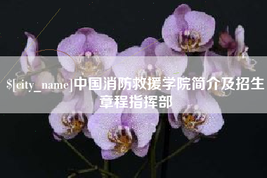 肥城中国消防救援学院简介及招生章程指挥部