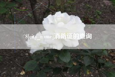 肥城消防证的查询