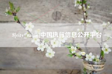 肥城中国执行信息公开平台