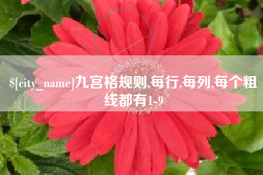 肥城九宫格规则,每行,每列,每个粗线都有1-9