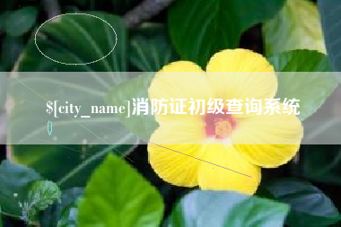 肥城消防证初级查询系统