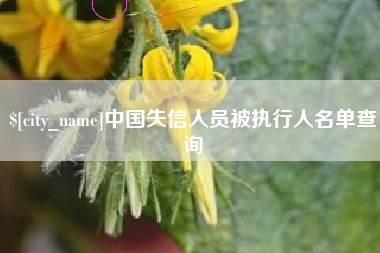 肥城中国失信人员被执行人名单查询