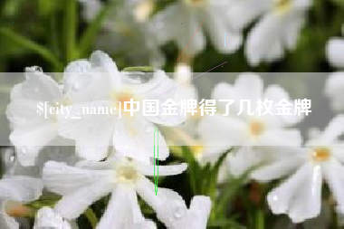 肥城中国金牌得了几枚金牌