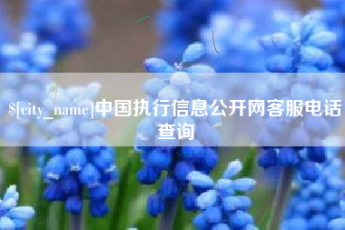 肥城中国执行信息公开网客服电话查询