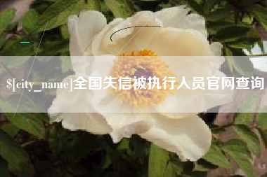 肥城全国失信被执行人员官网查询