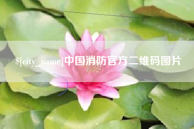 肥城中国消防官方二维码图片