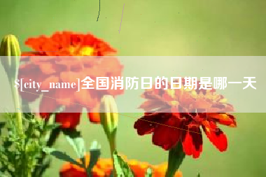 肥城全国消防日的日期是哪一天
