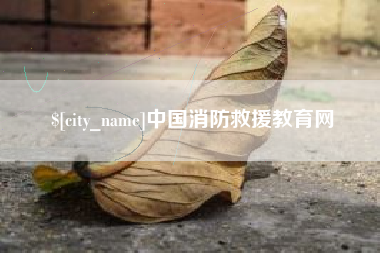肥城中国消防救援教育网