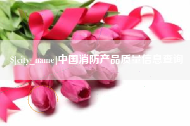 肥城中国消防产品质量信息查询