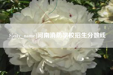 肥城河南消防学校招生分数线