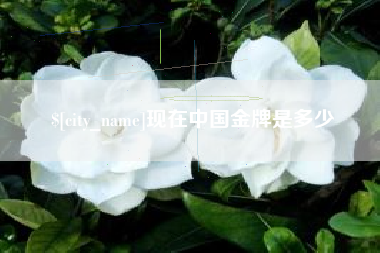 肥城现在中国金牌是多少