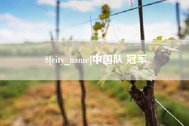 肥城中国队 冠军