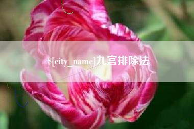 肥城九宫排除法