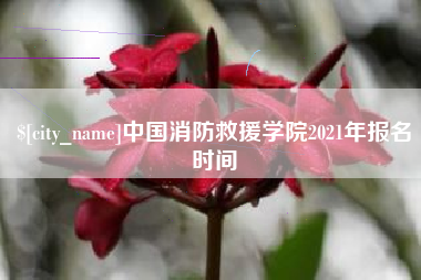 肥城中国消防救援学院2021年报名时间