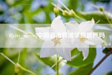 肥城中国消防救援学院管严吗
