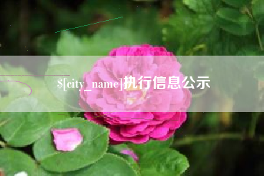肥城执行信息公示