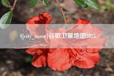 肥城谷歌卫星地图2025