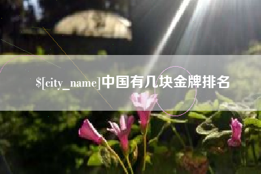 肥城中国有几块金牌排名