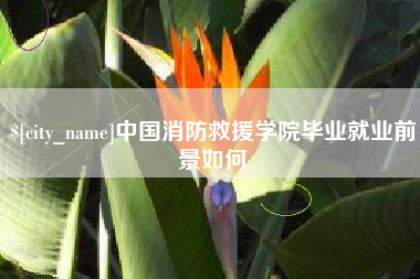 肥城中国消防救援学院毕业就业前景如何