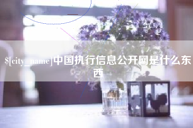 肥城中国执行信息公开网是什么东西