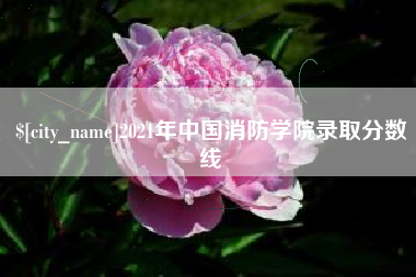 肥城2021年中国消防学院录取分数线