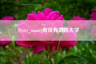 肥城有没有消防大学