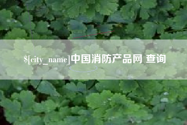 肥城中国消防产品网 查询