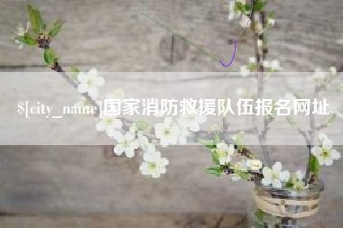 肥城国家消防救援队伍报名网址