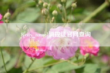 肥城消控证官网查询