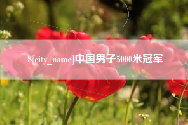 肥城中国男子5000米冠军