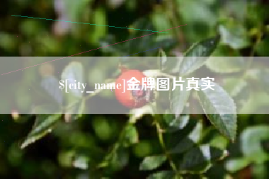 肥城金牌图片真实