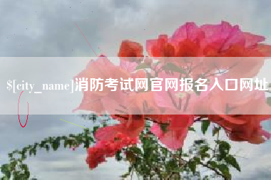 肥城消防考试网官网报名入口网址
