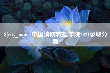 肥城中国消防救援学院2021录取分数