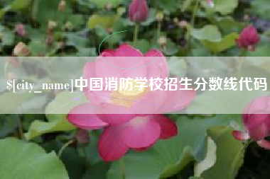 肥城中国消防学校招生分数线代码