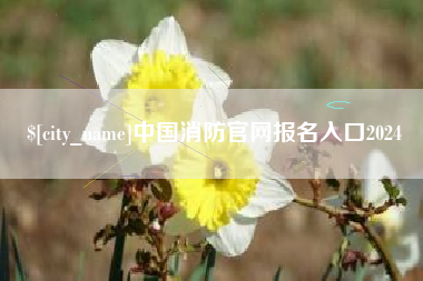 肥城中国消防官网报名入口2024