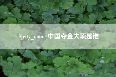 肥城中国夺金大项是谁