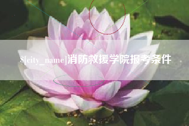 肥城消防救援学院报考条件